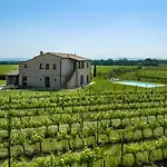 Le Vigne, 8 Pax, Private Pool, Comfort * コルトーナ